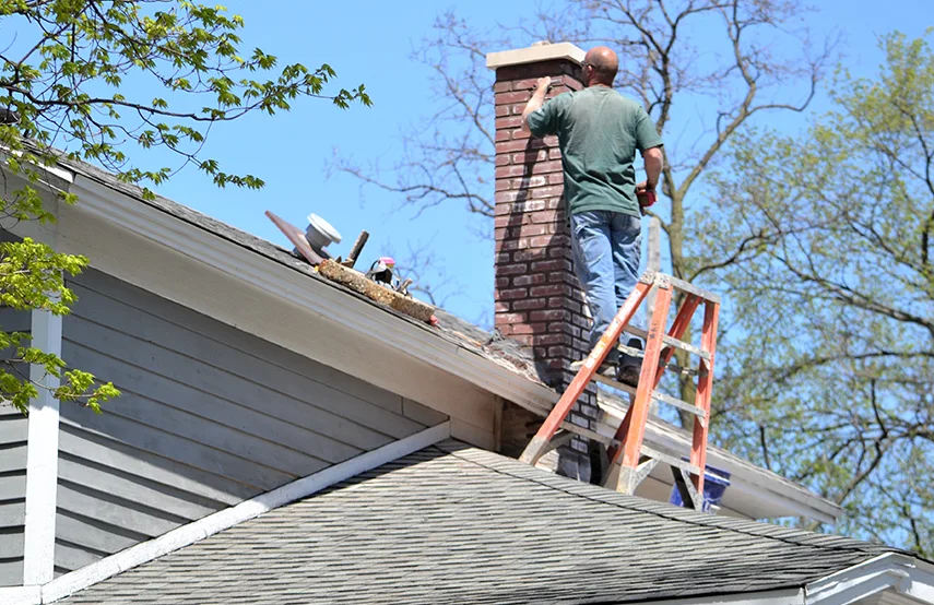 Chimney & Fireplace Inspections Services in Royal Oak, MI